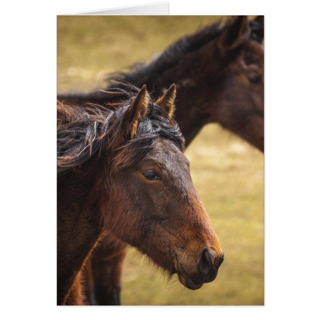 馬を並べて (正面)