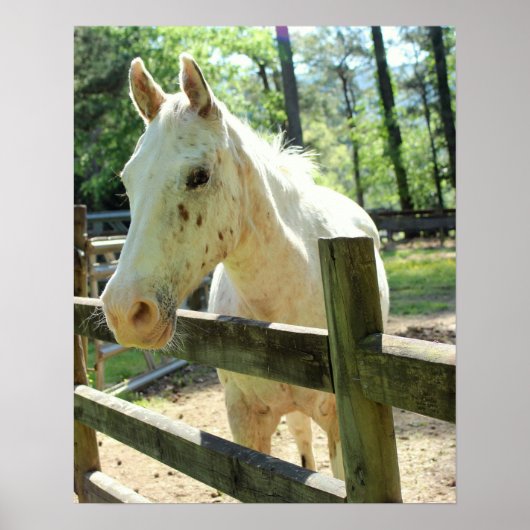 馬を元気づける ポスター (正面)