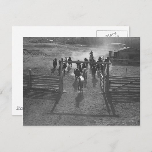 馬を囲む ポストカード (正面/裏面)