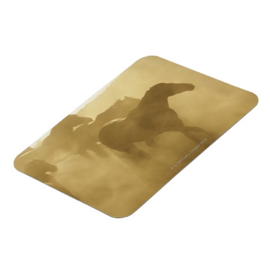 馬を囲む マグネット (左側)