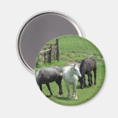 馬を増やす！ マグネット (正面/裏面)