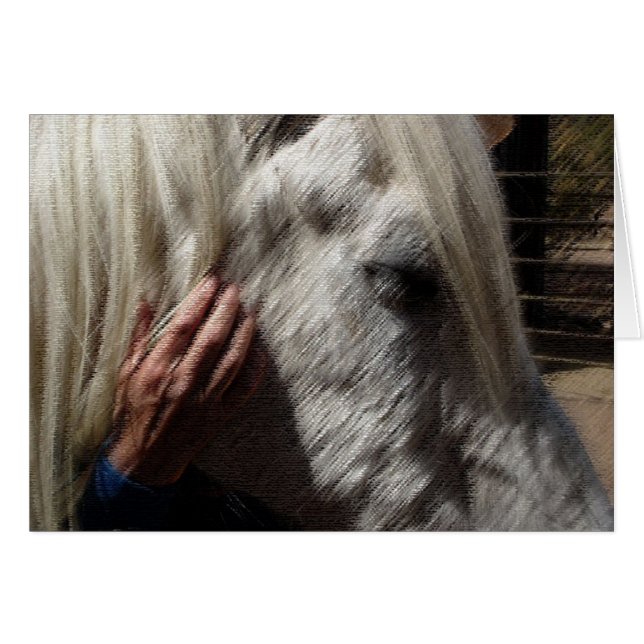 馬を愛すること (正面横)