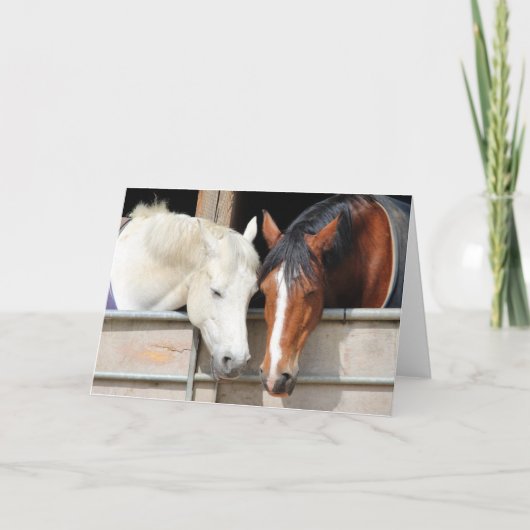 馬を愛する カード (正面)