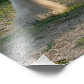 馬を持つ白いドレスを着た美しい少女 フォトプリント            (角)