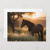 馬を横に並べる ポストカード (正面/裏面)