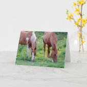 馬を牧草を食べること カード (黄色い花)