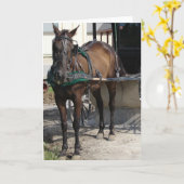 馬を繋ぐポストの前のアーミッシュの馬 カード (黄色い花)