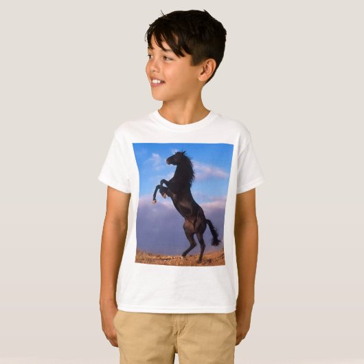 馬を育てている野生の黒い種馬 Tシャツ (正面フル)