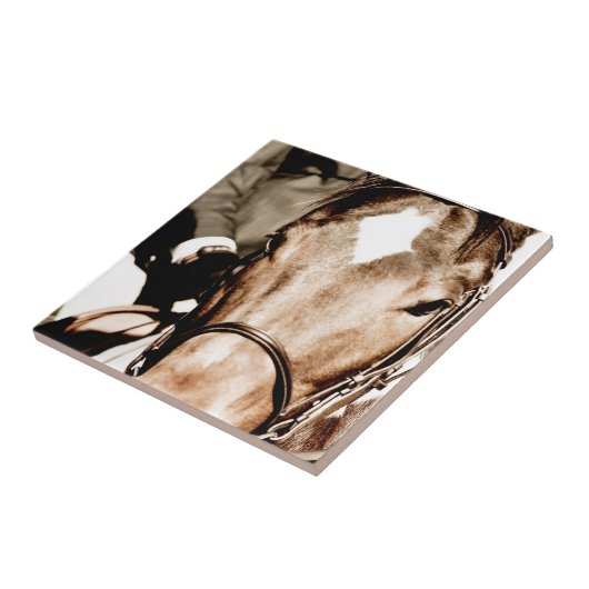 馬を表示 タイル (側面)