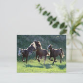 馬を蹴ること ポストカード (スタンド正面)