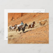 馬を飼うカウボーイ ポストカード (正面/裏面)