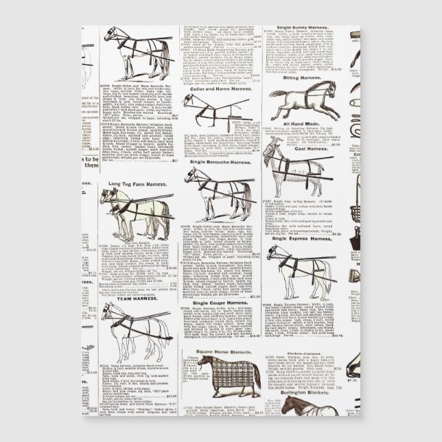 馬アンティーク広告新聞美術 (正面)