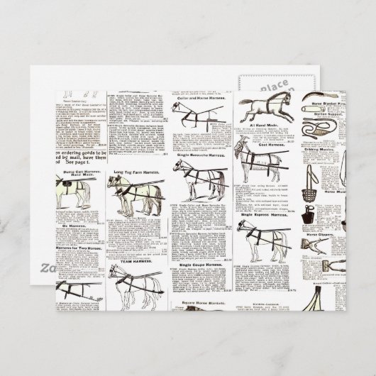 馬アンティーク広告新聞美術 ポストカード (正面/裏面)