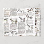 馬アンティーク広告新聞美術 ポストカード (正面)