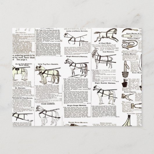 馬アンティーク広告新聞美術 ポストカード (正面)