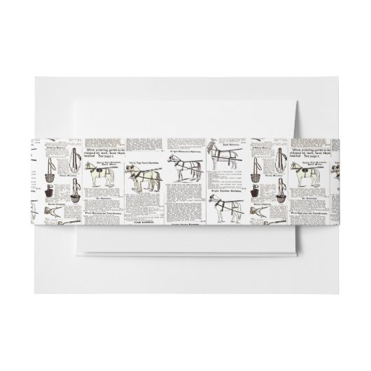 馬アンティーク広告新聞美術 招待状ベリーバンド (正面例)