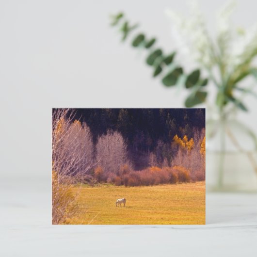 馬イン秋I ポストカード (スタンド正面)