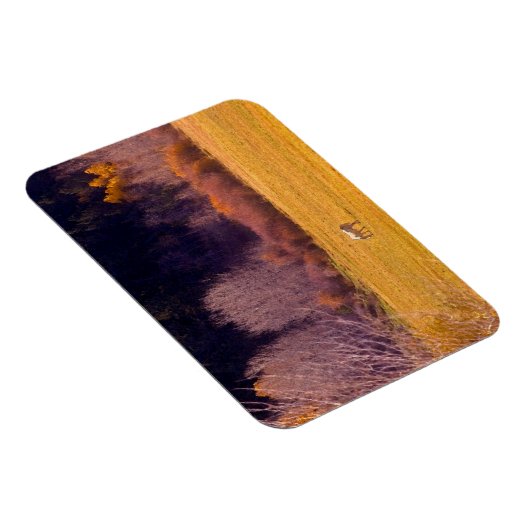 馬イン秋I マグネット (右側)