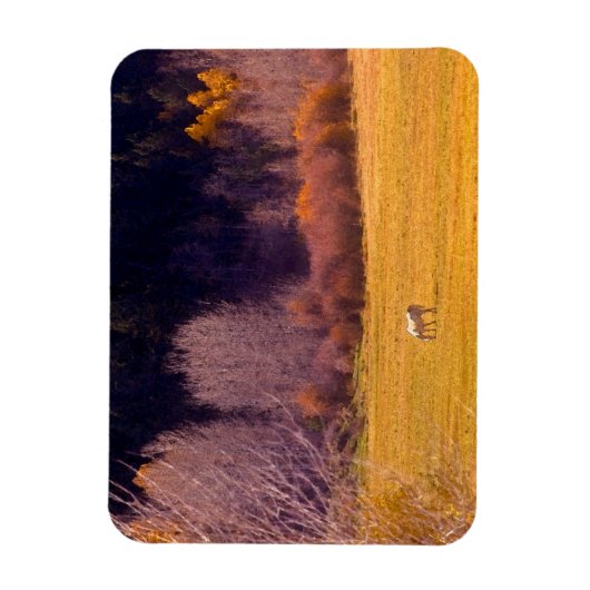 馬イン秋I マグネット (縦)