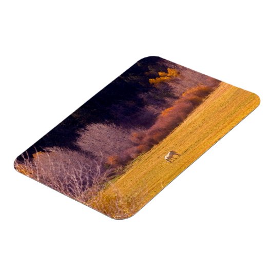 馬イン秋I マグネット (左側)