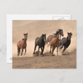 馬イン秋II ポストカード (正面/裏面)