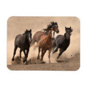 馬イン秋II マグネット (横)