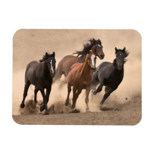 馬イン秋II マグネット (横)