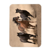 馬イン秋II マグネット (縦)