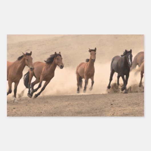 馬イン秋II 長方形シール (正面)