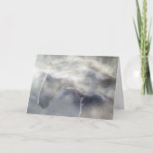 馬ウマ科の札 カード (正面)