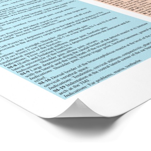 馬ウマ科の鍼治療ポイント獣医 ポスター (角)