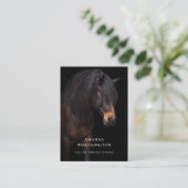 馬エレガント馬術ウマ科の撮影 名刺 (スタンド正面)