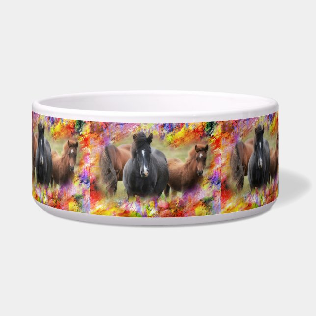 馬カラフル ボウル (正面)