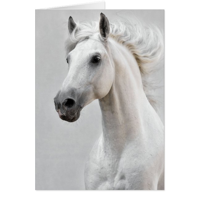 馬カード (正面)