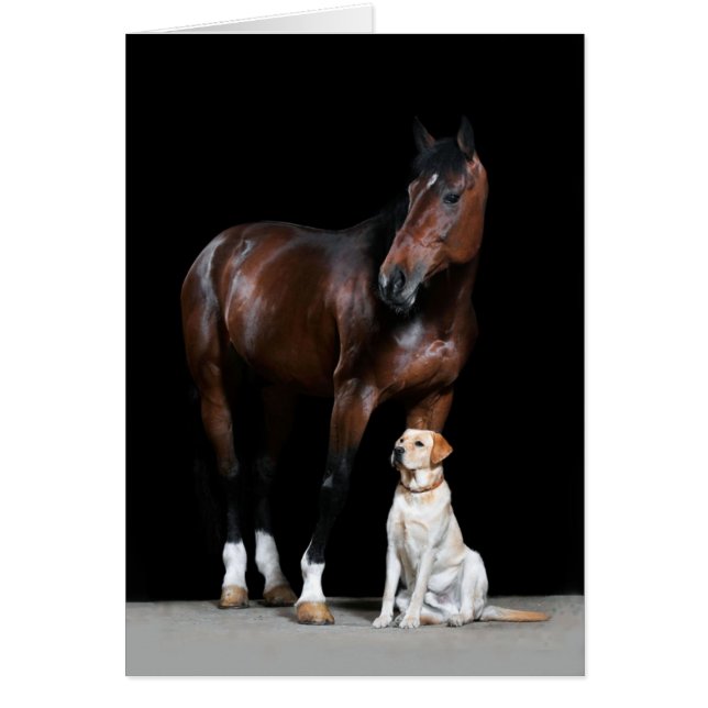 馬カード (正面)