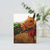 馬キスをするの爪先 ポストカード (スタンド正面)