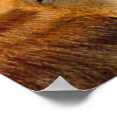 馬キスをする類 ポスター (角)