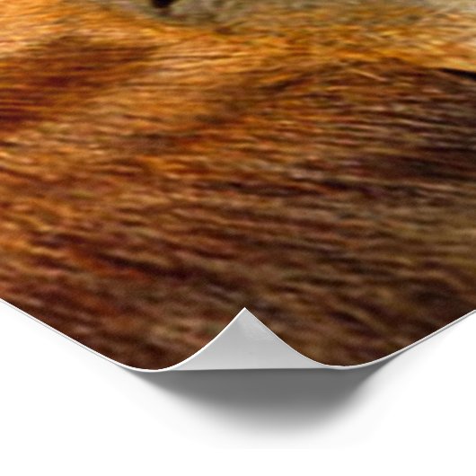 馬キスをする類 ポスター (角)