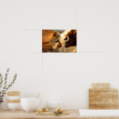 馬キスをする類 ポスター (キッチン)