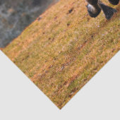 馬ギャロピングデコページティッシュペーパー 薄葉紙 (詳細)