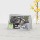 馬クールが鳴く「ハッピーバースデー」 カード (黄色い花)