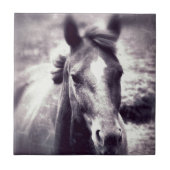 馬グランジ タイル (正面)