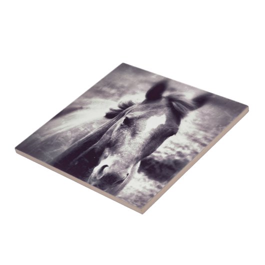 馬グランジ タイル (側面)