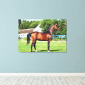 馬コレクション。アラビア湾 キャンバスプリント (インサイチュ (ウッドフロア))