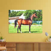 馬コレクション。アラビア湾 キャンバスプリント (インサイチュ (リビング))