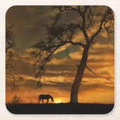 馬コースター スクエアペーパーコースター (正面)