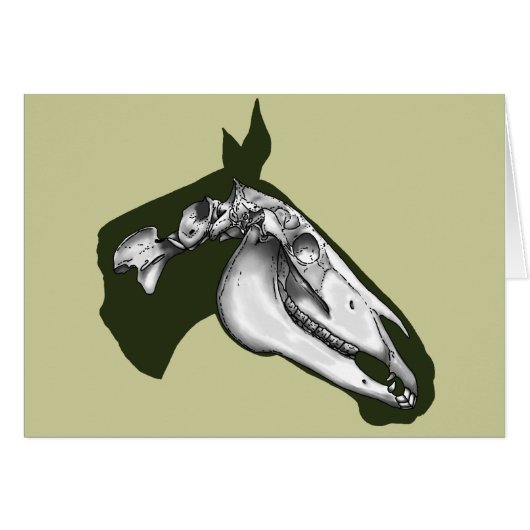 馬スケルトン (正面横)