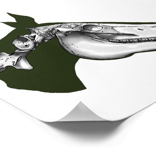 馬スケルトン ポスター (角)