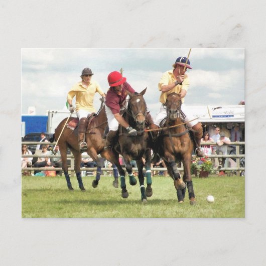 馬スポーツの ポストカード (正面)