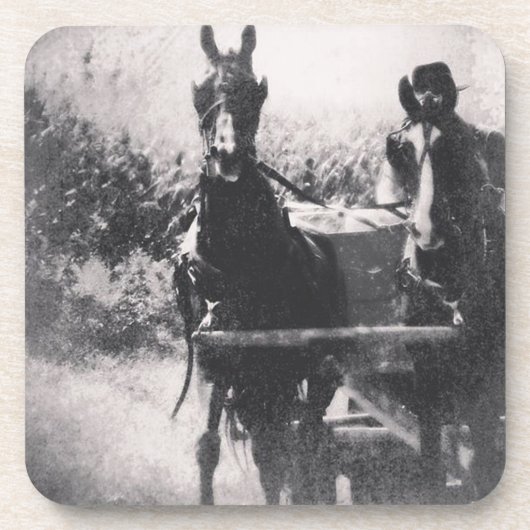 馬チーム#horse #amish コースター (正面)